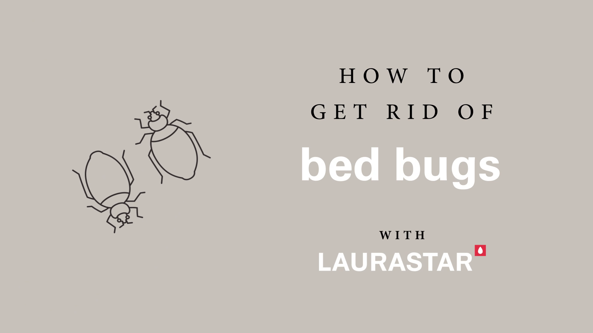 beige background with bedbugs and text how to get rid of bedbugs with Laurastar